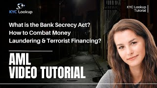 Bank Secrecy Act Explained Combatting Money Laundering amp Terrorist Financing  What is BSA [upl. by Calan]