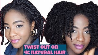 EASY DEFINED TWIST OUT ON 4C NATURAL HAIR [upl. by Mordy]