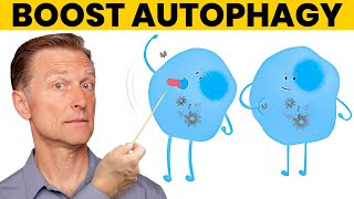 The 7 Powerful Ways to Increase Autophagy [upl. by Alak]