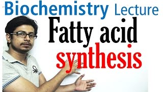 Fatty acid synthesis [upl. by Cort119]