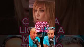 CANOSA LIQUIDÓ A PERIODISTAS CHUPAMEDIAS DE MILEI canosa milei majul trebucq chupamedias [upl. by Ahsoyek681]