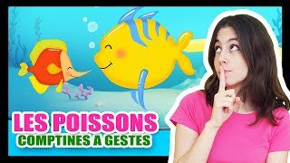 Les petits poissons dans leau  Comptines à gestes pour les bébés  Titounis [upl. by Esiuol331]