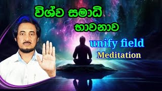 විශ්ව සමාධි භාවනාව Unify filed meditation  Deegoda kumara Gurudev [upl. by Ydnim]