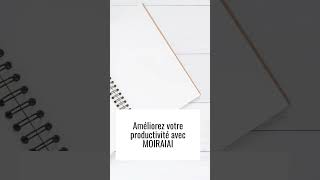 Procédure Opératoire Normalisée PON [upl. by Brechtel]