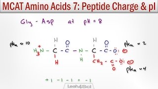 How to Calculate Peptide Charge and Isoelectric Point MCAT Trick [upl. by Seligman]