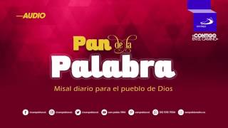 Escucha el Pan de la Palabra de hoy 3 de mayo [upl. by Oran]