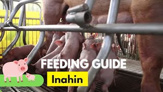 Feedpro in Nueva Ecija Feeding Guide Inahin [upl. by Strickman]