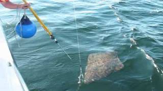 Ketchikan Alaska Halibut Fishing in at Chinook Shores Lodge [upl. by Fulvia460]