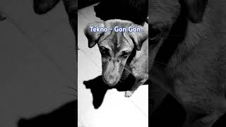 Tekno  Gon Gon is a Vibez trending duet teknologi hit nintendo africa [upl. by Corbett110]