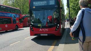 Arriva London HT12 on bus route 202 [upl. by Cerell571]