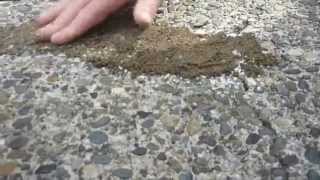 HOW TO Apply amp Match crack filler to exposed aggregate driveway [upl. by Cally508]