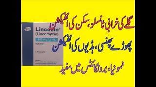 Lincocin Lincomycin Uses  Side effects DoseContraindication In Urdu [upl. by Affer417]