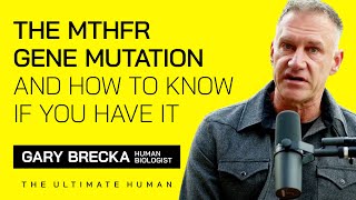 MTHFR Gene Mutation Explained How to Know If You Have It and What To Do About It with Gary Brecka [upl. by Leahplar]