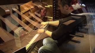 Historic Lingiardi italian pipe organ  St Francis church Vigevano Italy  Improvisation [upl. by Novar]