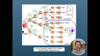 Natural Products with Toll Like Receptor 4 Antagonist ActivityIntegrative Medicine Academy [upl. by Sinnod]