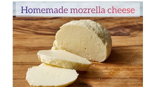 Homemade mozrella cheese easy and simple recipehomemadefood mozerella cheeselover food cooking [upl. by Aisat]