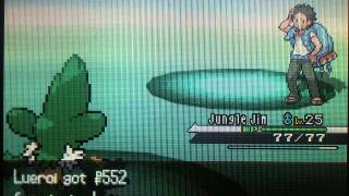 Pokemon Black amp White Walkthrough Part 19 Route 16 Surprise [upl. by Culver95]