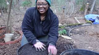 Planting bulbs and perennials in February [upl. by Irod]