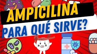 AMPICILINA  ¿PARA QUÉ SIRVE [upl. by Schear]