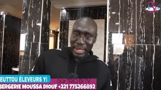 EUTTOU ÉLEVEUR YI BERGERIE MOUSSA DIOUF CASE BA [upl. by Atteinotna]