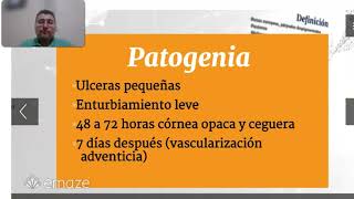 Queratitis infecciossa bovina 2024 [upl. by Deyes36]