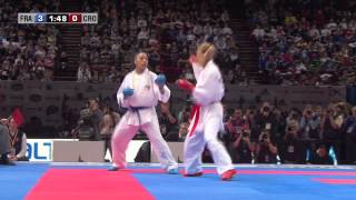 Final Female Kumite 55kg Lucie Ignace vs Jelena Kovacevic World Karate Championships 2012 [upl. by Kulda]