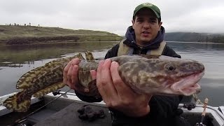 Fishing for Burbot in Washington [upl. by Dodd]