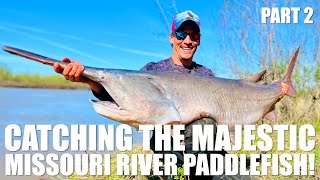 PART 2  CATCHING THE MAJESTIC MISSOURI RIVER PADDLEFISH IN NORTH DAKOTA  2024 [upl. by Enajyram]