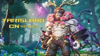 Tarisland CN Server  Mage Gameplay [upl. by Meyers]