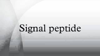 Signal peptide [upl. by Suidaht63]