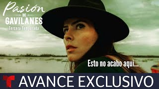 Avance exclusivo Pasion de Gavilanes 3  Nueva Temporada [upl. by Eillam858]