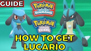 How to get LUCARIO and Riolu in Pokemon Brilliant Diamond and Shining Pearl Guide [upl. by Karlotta]