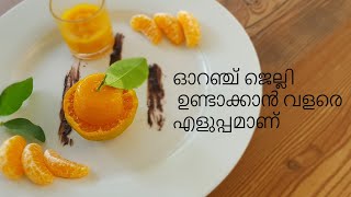 Easy Homemade Orange Jelly  Fruits Jelly  malayalam recipe [upl. by Hau]