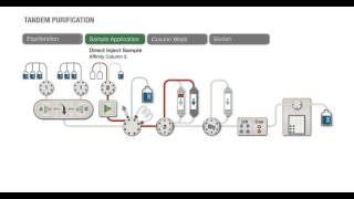 Automated Tandem Purification with NGC™ Chromatography Systems [upl. by Aimahs408]