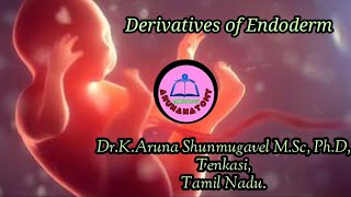 Arunanatomy  Embryology  Derivatives of Endoderm  Animated Video [upl. by Ettennor]