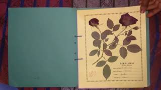 Herbarium File 2019 by Laxmi modanwal [upl. by Marcelo508]