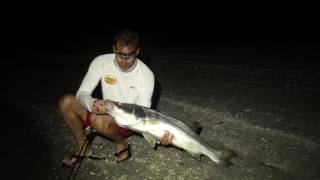 Snook Fishing with Swimbaits  Sanibel Island [upl. by Nylave]