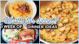 EASY FAMILY DINNER IDEAS  WHATS FOR DINNER 305  7 Real Life Family Meal Ideas [upl. by Nnylyt]