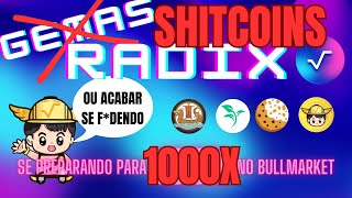 1000X com Shitcoins na Radix XRD  VKC XSEED RADIT amp CRUMBS [upl. by Elias]