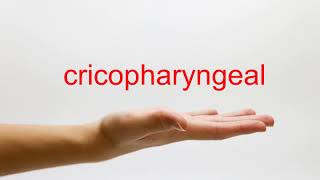 How to Pronounce cricopharyngeal  American English [upl. by Laura94]