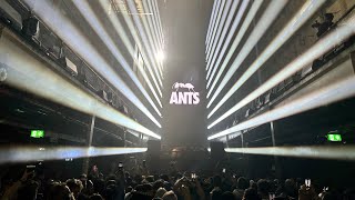 ANTS  Printworks  The Final Season  London 05022023 [upl. by Yalcrab]