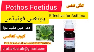 AsthmaHysteria دمہ اور ہسٹریا کی دوا Homeopathic medicine Pothos Foetidus Q [upl. by Eudoca]