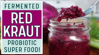 FERMENTED RED CABBAGE SAUERKRAUT  The Best Beginner Friendly Sauerkraut Video Out There [upl. by Tolkan]