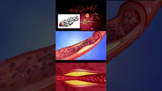 cholesterol kya hai  what is cholesterol in urdu  what is cholesterol in human body Health amp Care [upl. by Odnalor]