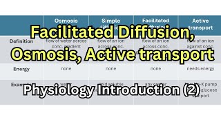 شرح فسيولوجي Facilitated diffusion Osmosis Active transport Pinocytosis [upl. by Jaquenette825]