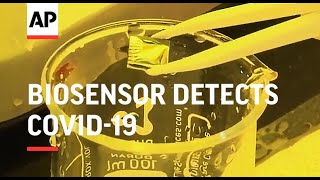 Biosensor detects COVID19 in less than 3 minutes [upl. by Bianka]