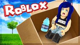 MAILED MYSELF IN A BOX CHALLENGE IN ROBLOX [upl. by Eimar]