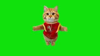 Cat Dancing On Driftveil City Meme Green Screen Chroma Key Template catmemes [upl. by Suaeddaht]