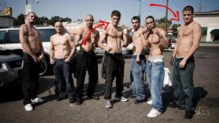 The Diaz Brothers The Biggest Gangsters in combat sports [upl. by Monty]