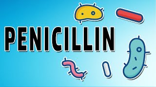 Penicillin Mechanism and Side Effects [upl. by Koss]